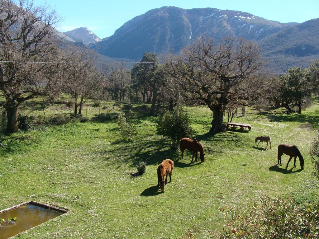 Fattoria Mongerrate Vila Isnello Exterior foto